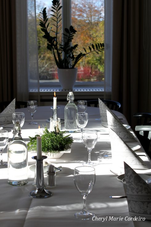 Jonsereds herrgård, dining table.
